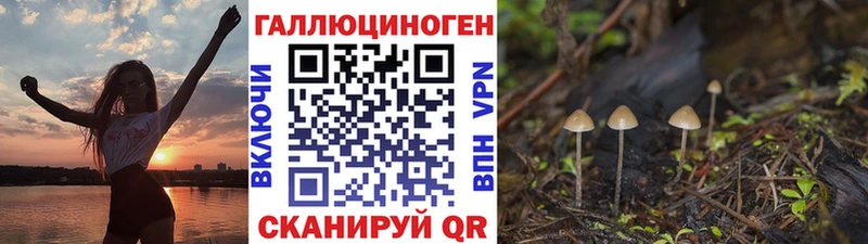 Галлюциногенные грибы Psilocybe  shop Telegram  Арамиль  купить закладку 