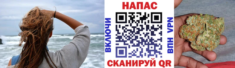 Канабис конопля  где продают   Арамиль 